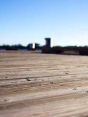 lt;Marry at first si