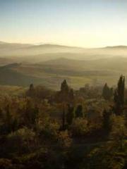 I have seven fairy g