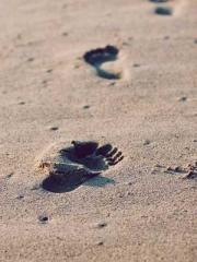 lt;Honor calls for N