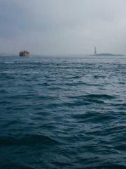 Omnipotent Mad Young