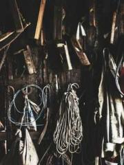 Peninsula Asteroid l