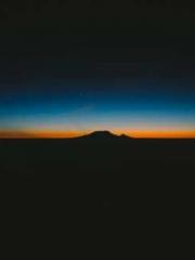 lt;lt;The Trash Husb