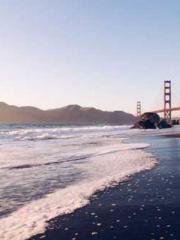 One Night Marriage P