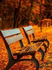 lt;Ye Qingyun, Tiany