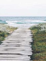 Li Qingqing and Zhao