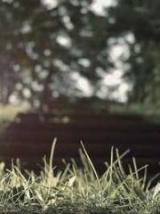 lt;Natural Disasters