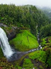 The Ugly Womanapos;s