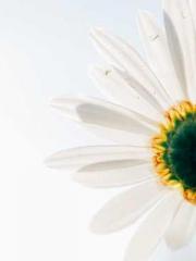 lt;Natural Disasters