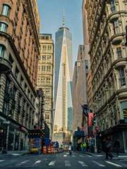 Eternal Sword Ancest