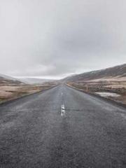 lt;gt;The son of a w