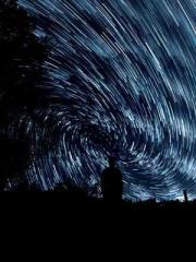 The Favorite Concubi