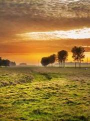 Qi is thin, but I be