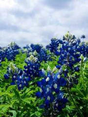 Spoil you in my arms