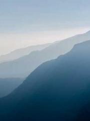 My pets are all amaz