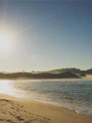 After miscarriage an