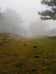 King of Nine Profoun