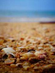 Spoil you in my arms