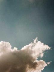 Lu Zongapos;s Hidden